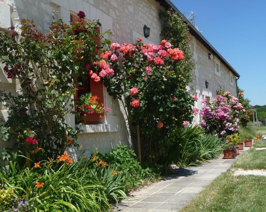 Saint-Senoch La Maison Des Fleurs酒店 外观 照片